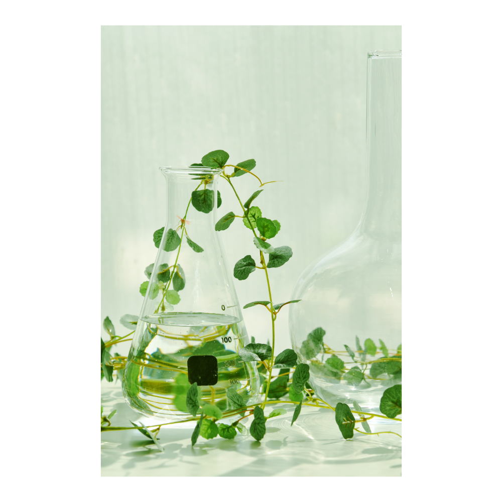 Extraction au CO2 supercritique en cosmétique : une technologie naturelle et innovante Image