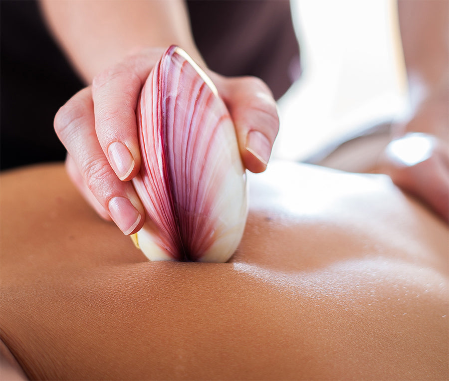Le massage aux coquillages chauds - 1h15